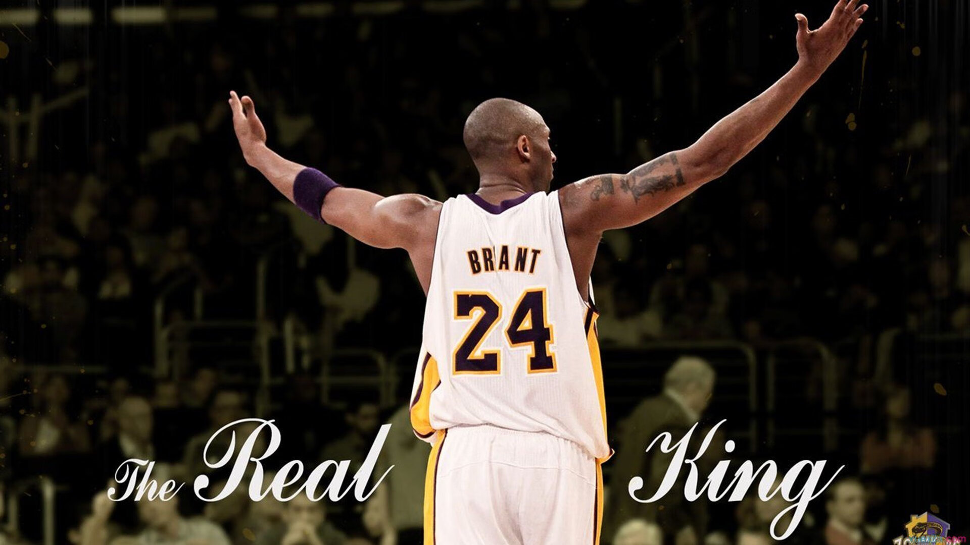 星空体育APP-法甲未来之星：新秀崭露头角引领潮流！，法甲新赛季宣传片