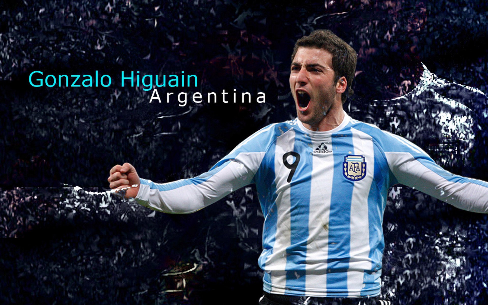 美洲杯激情飙升:明星点燃全场!,美洲杯精彩集锦